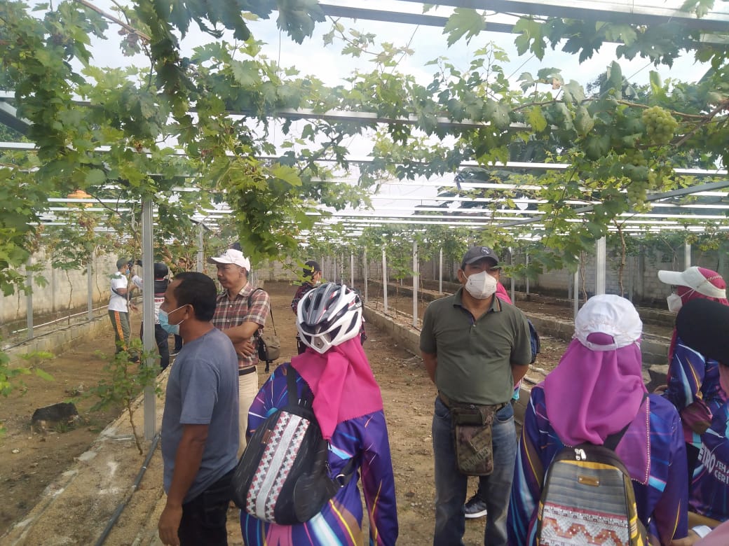 Walikota Metro Wahdi Siradjuddin melakukan kunjungan ke kampung Anggur